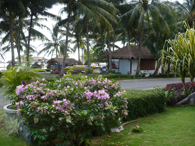 Bintan Agro Beach Resort Garden View      